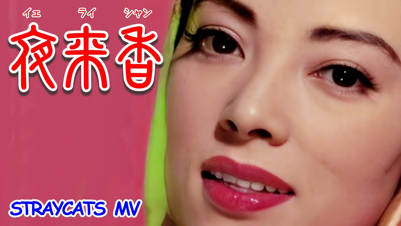 あさくらゆめ様の 夜来香 MV] 夜来香 (イェライシャン) - YouTube