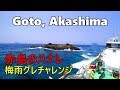 【長崎の磯釣り】五島列島 赤島のハナレ 2018年6月 Goto Islands, 梅雨グレ(クロ・メジナ)