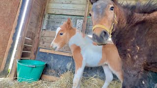 New mom is so overprotective because her first baby is just too