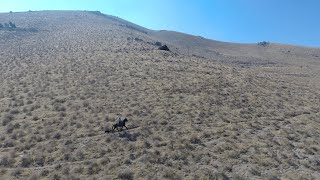 First Solo Ride on Chinaco