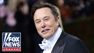 Media erupts over Elon Musk's pronouns tweet
