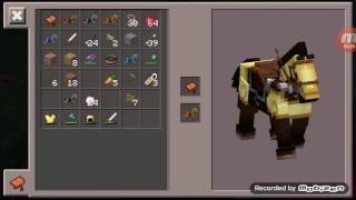 Mini Rafta At.eşek.domuza Binmek