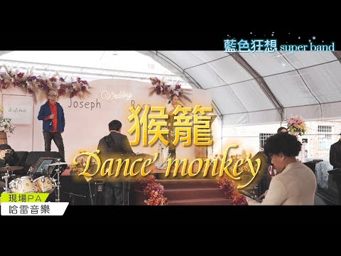 猴籠Dance monkey-周莉文(藍色狂想樂團)4K