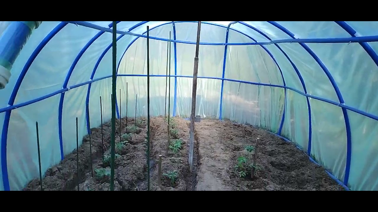 Tunel foliowy, zoro grzyba, pleśni, korozji. W całości wykonana z rury PE.