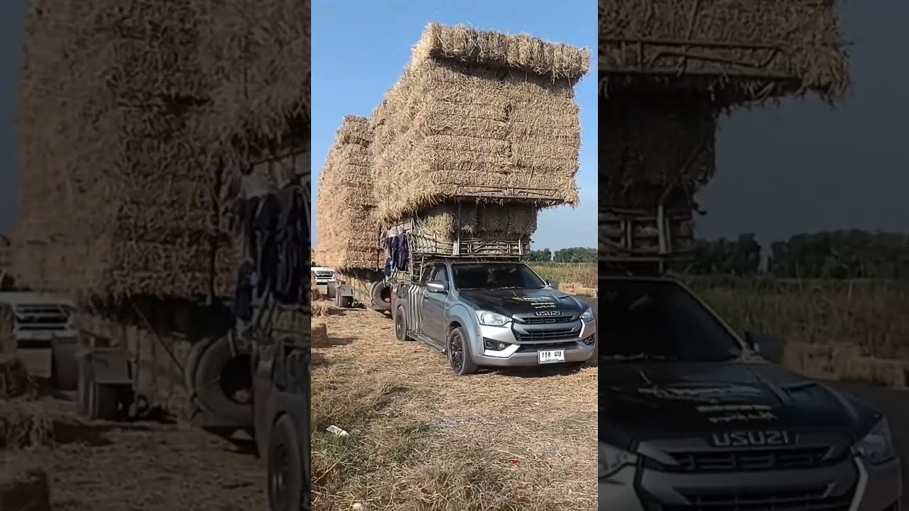 Oversized hay bales on a truck