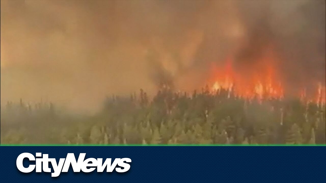 Historic forest management policies felt in 2023
