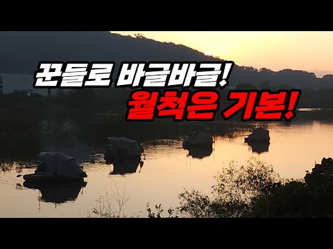*가온*~~피싱다이어리 제520회붕어보트낚시