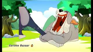 Tom & Jerry | Getting Ready for Spring | Classic Cartoon Compilation | Cartoon Bazaar