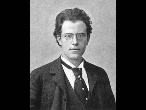 グスタフ・マーラー全作品解説事典 グスタフ・マ-ラ-全作品解説事典 | 長木 誠司 |本 | 通販 | Amazon