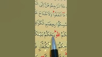 سورة الممتحنة الأية 10 إلى 11 بصوت سعد الغامدي
