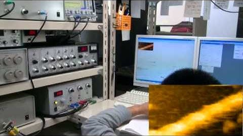 HS-AFM imaging of myosin V-HMM moving on actin filament.