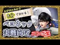 【スマブラSP】コマンド解説有り！ベヨネッタの初心者向けコンボ解説動画！【VIP目指して！】