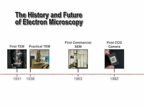 The History and Future of Electron Microscopy