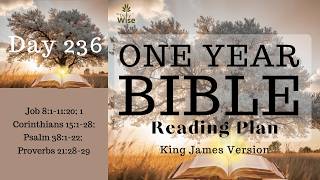 Day 236 of 365 Bible Reading Plan | KJV Holy Bible Audio - Calm and Soothing Male Voice Narration
