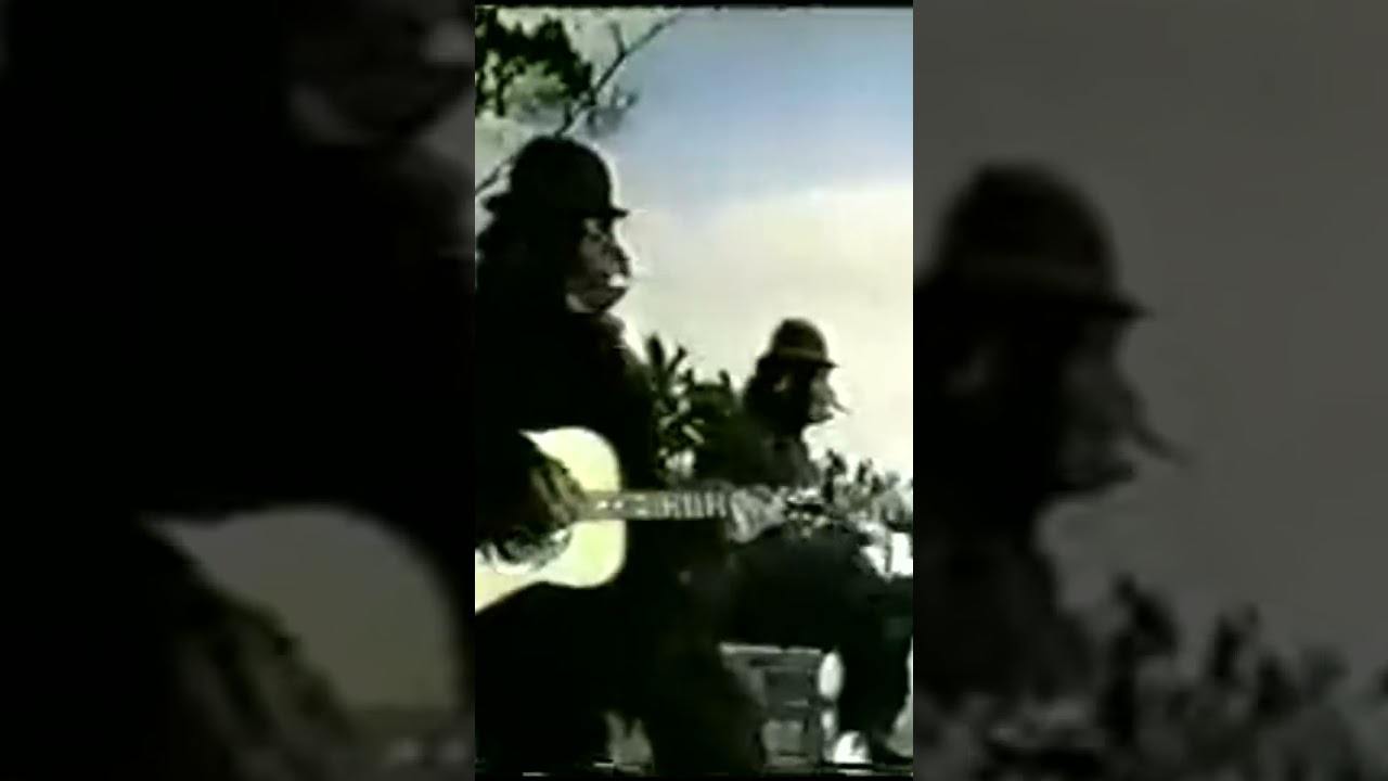 Остаться в Живых (LOST, 2004) Lime and Coconut 