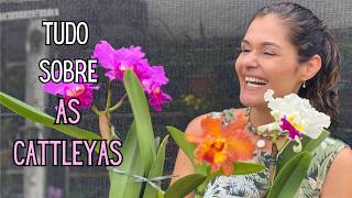 ORQUÍDEAS: Orquídea Cattleya: Cuidados, replantio e como ter flor o ano todo
