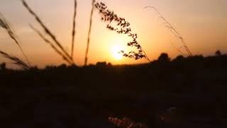 Story wa sebatas mimpi