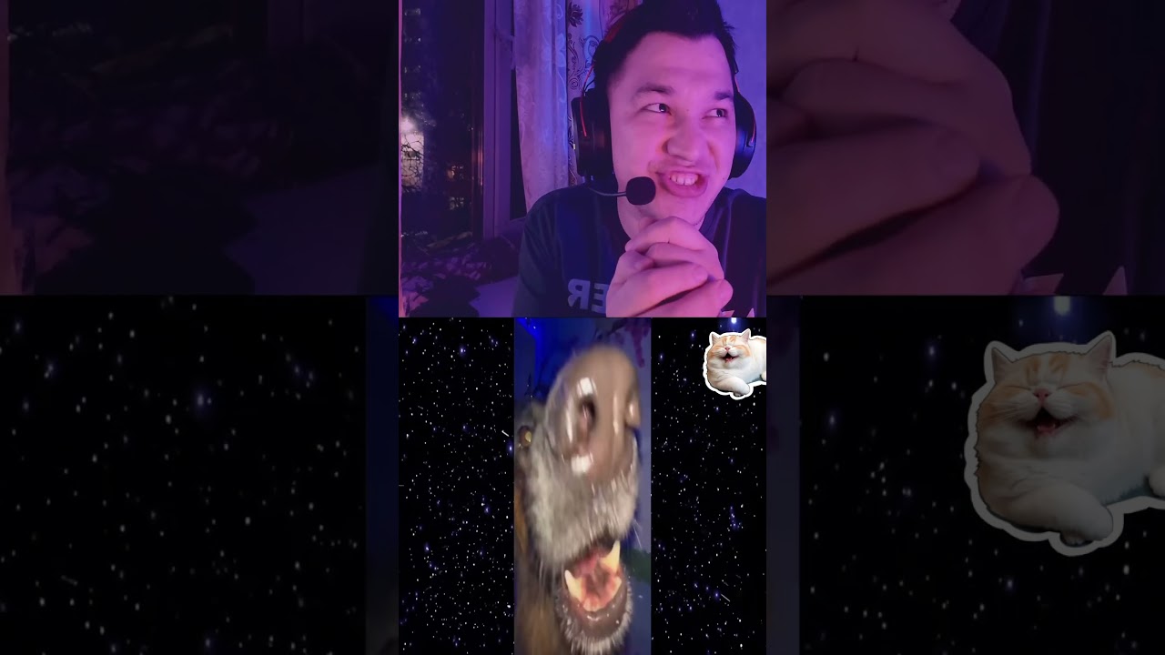 Рубрика кринжа  