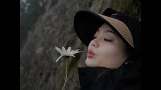 Java Bali private tour english speaking driver