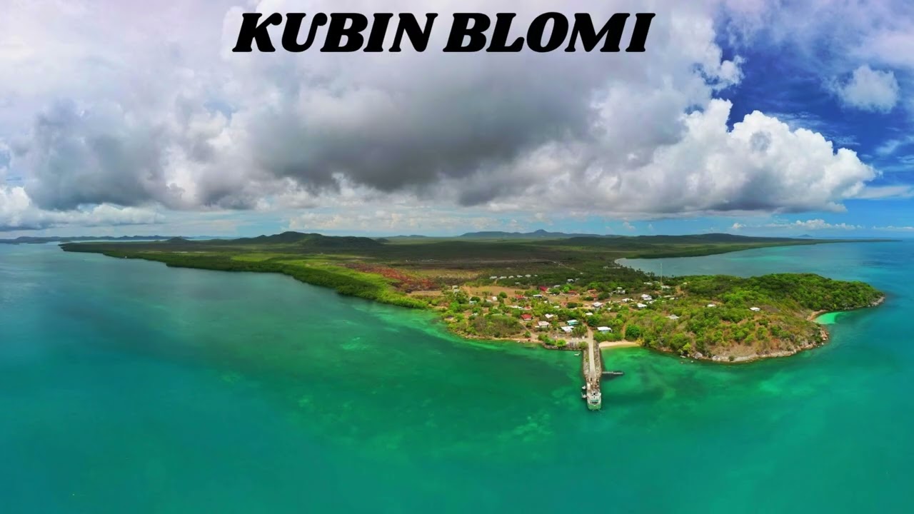 KUBIN BLOMI - PNG Music 2025 (J.R New Sound Production)