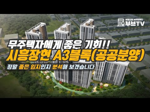 시흥장현 A3블록(공공분양), 무주택자에게 좋은 기회! 정말 좋은 입지인지 분석해 보겠습니다