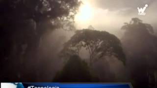 Aplicación móvil  podrá ayudar  a las personas a recordar sus sueños screenshot 2