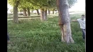 Adıyamanlı Vedo Salıncakta