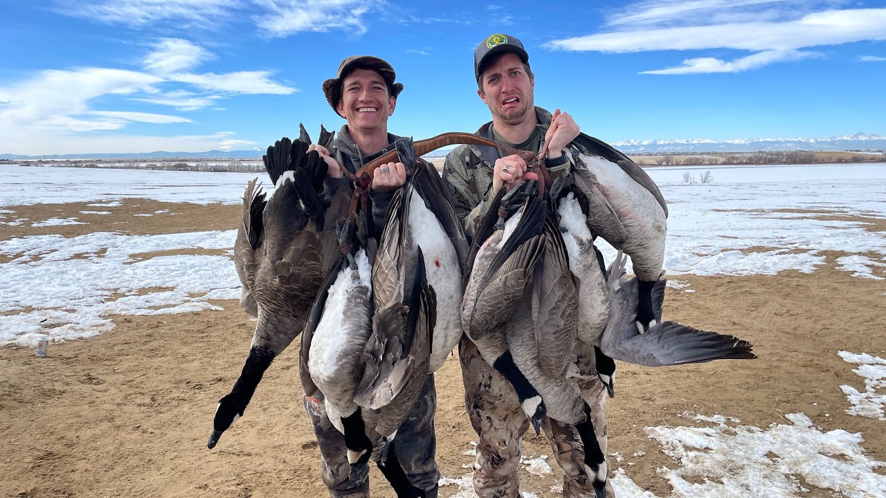 1000 Goose Flock in Colorado (UNREAL)
