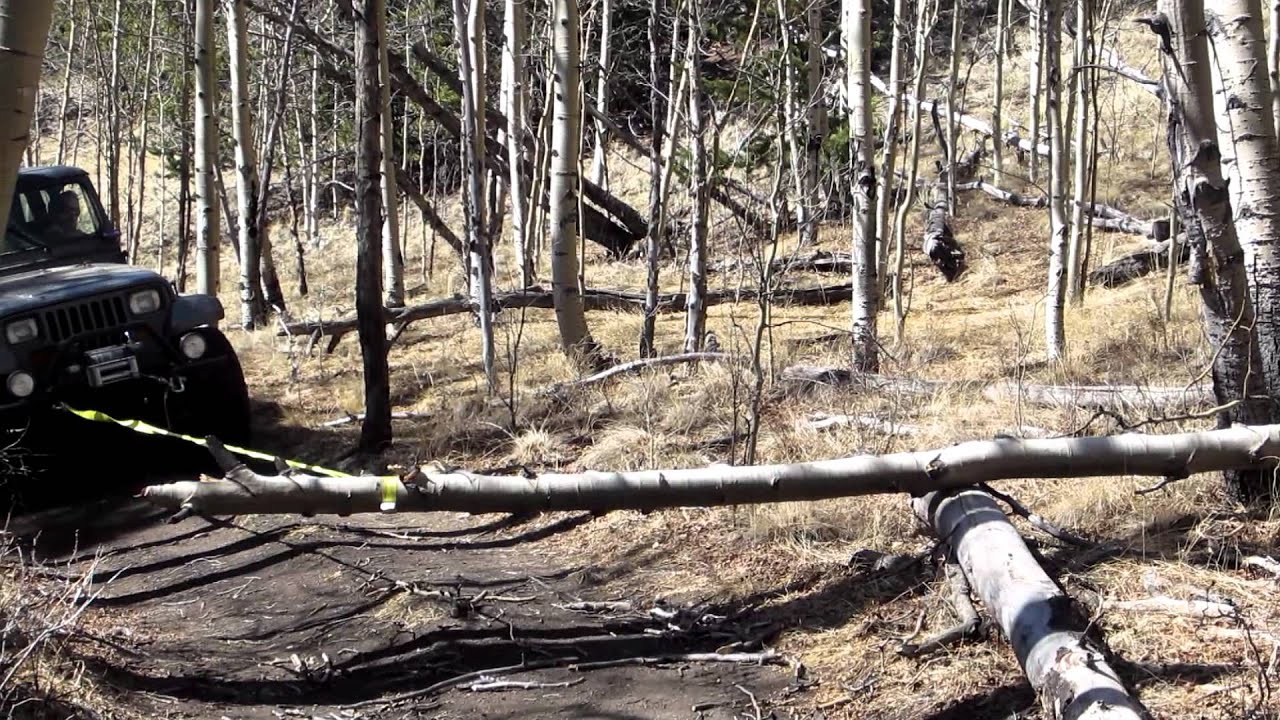Jeep YJ Colroado pull down trees off the trail - YouTube