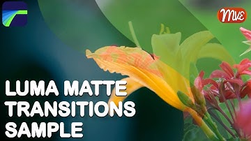 Luma Matte Transition, LumaFusion - Sample project package based on previously posted tutorial