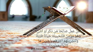 تلاوة صباحية هادئة 🌿 حالات واتس اب 🍃🌹🌿