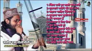 Salim Raza Naat Pilibhit 2022 | Naat o Manqabat ka khazana | Audio Jukebox naat | naat sharif 2022