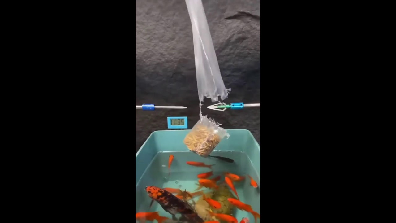 ПРЯМОЙ ЭФИР!