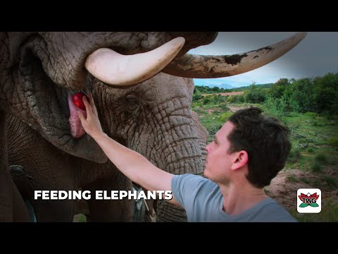 Travel with Gareth — Series