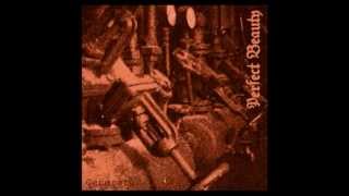 Perfect Beauty - 1010011010 Dark Ambient Industrial Noise