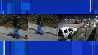 SAPD, Crime Stoppers seeking man who used Molotov cocktail to start fire, stole catalytic conver...