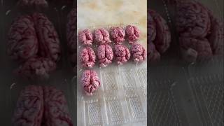 Famous Pig Brain Extraction Process in a Butcher House 👀 Profile