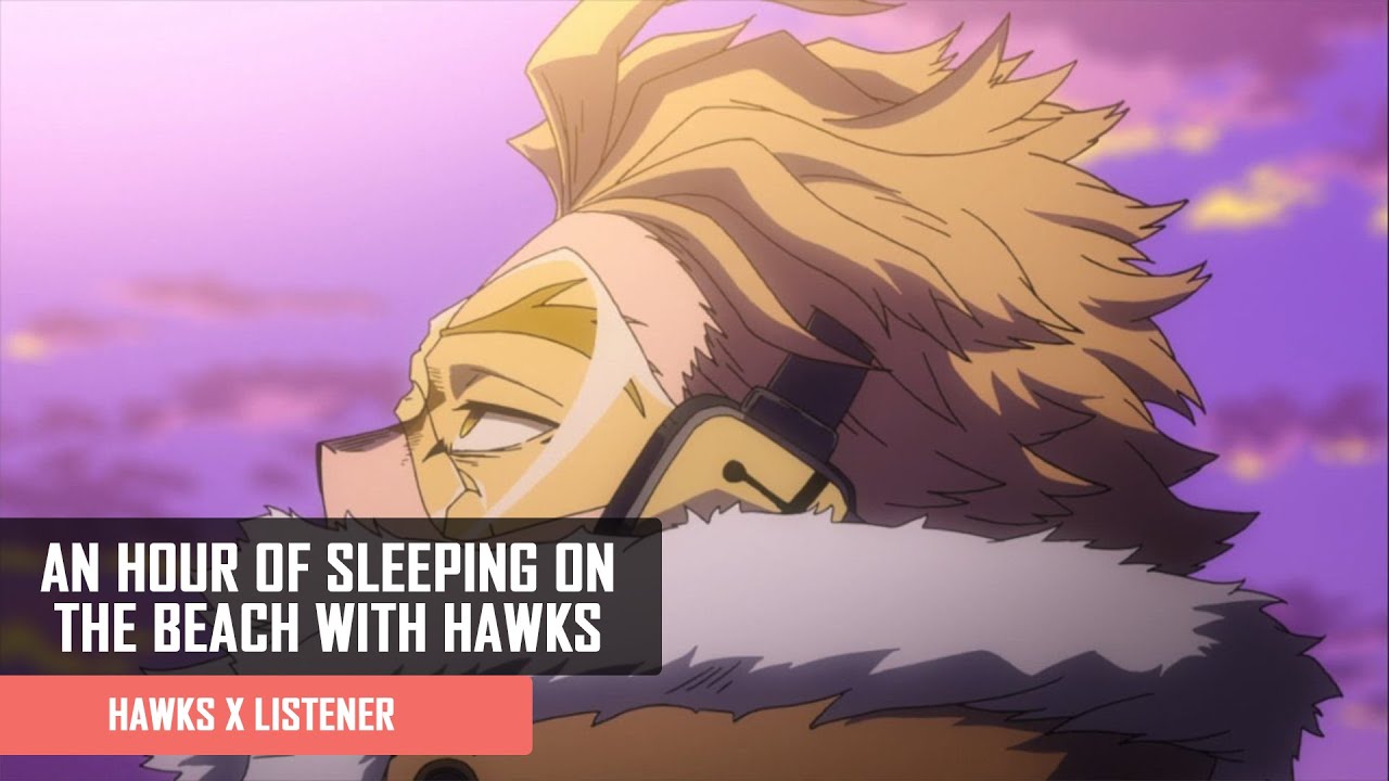 An Hour Of Sleeping On The Beach With Hawks | Hawks x Listener