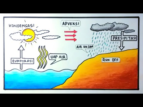 Video: Bagian mana dari siklus air yang membutuhkan energi dari matahari?