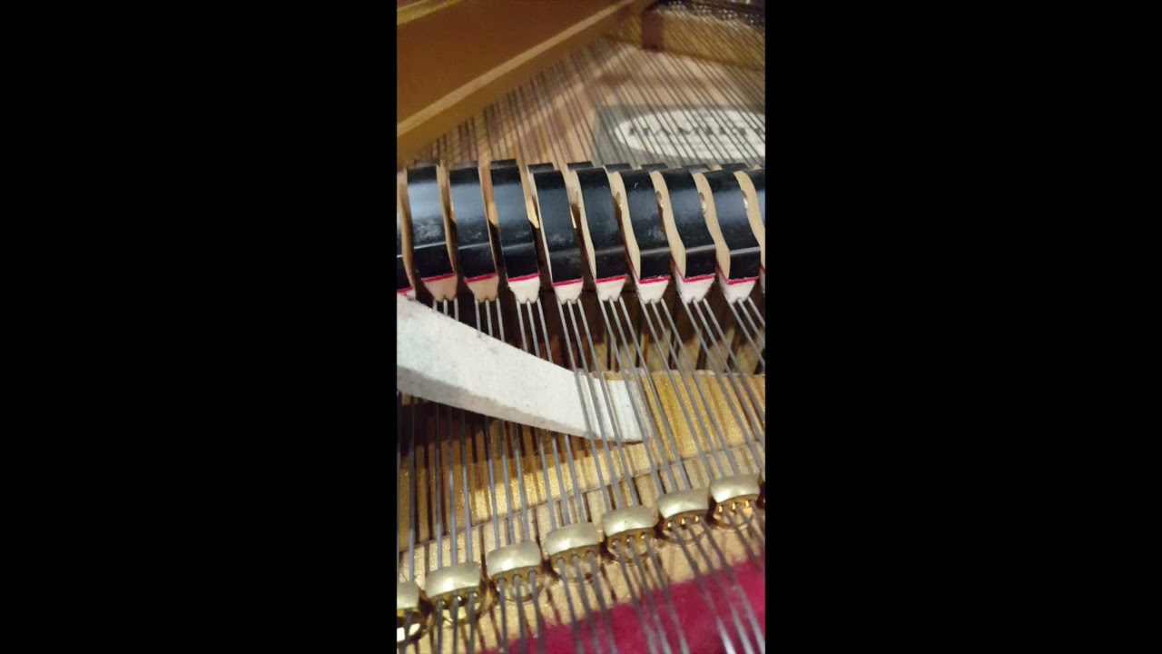 Video 2   Leaking Tri Chord Wedge