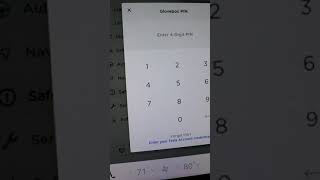 How To Set Glovebox Pin On Tesla Model 3 or Y #shorts