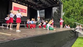 Український танок "Ой на горi ярмарок" на Bergedorfer Stadtfest