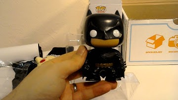 Infinity Crate for December 2015 Dynamic Duo