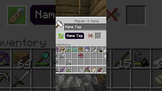 How to name animals in Minecraft