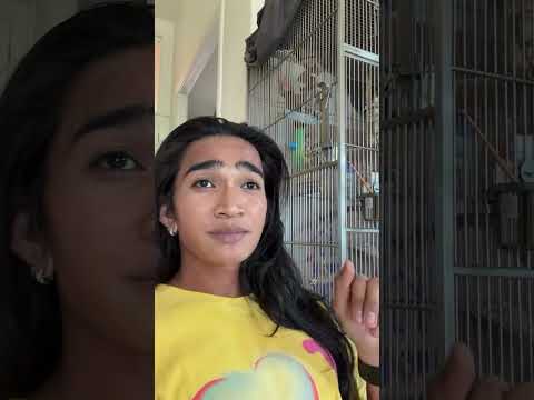 Bretman Rock (@bretmanrock) archived Instagram Stories compilation from July 27, 2026