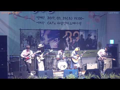 [4K]170325, 신현희와김루트 - 홍대 부르스,인디 워 홀 Vol. I, 꽃놀이패 in CATs 사상인디스테이션(전체캠/Fancam) By Lucidream