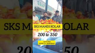15-01-2026 Sks Mandi Tomato Price Increased