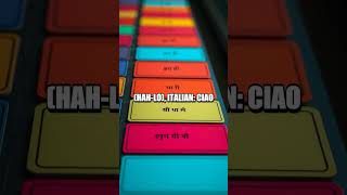 Daily Word Sprint Multilingual Edition Quick Learn