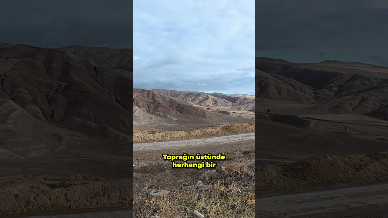 Ağaç Yok, Çiçek Yok, Sadece Tuz Var