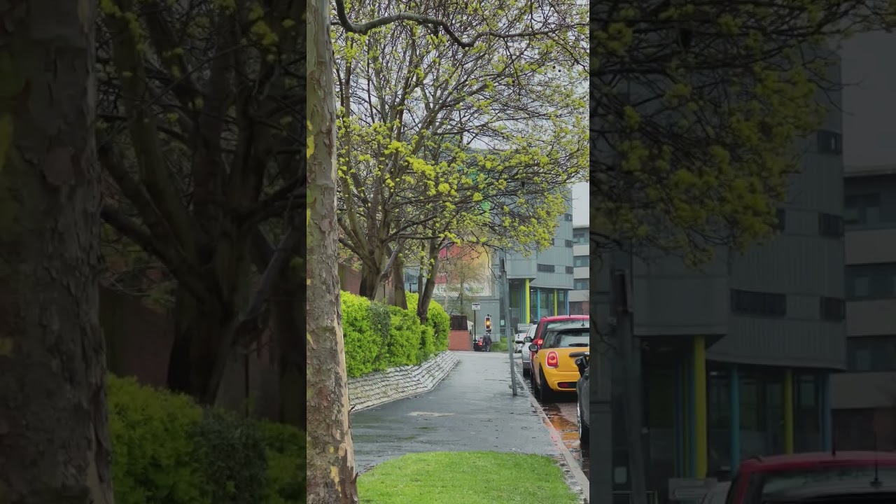 Good Evening Coventry💛✨